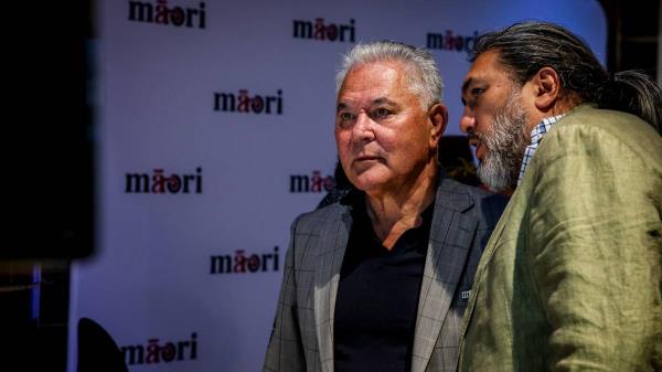 Pāti Māori总统约翰·塔米赫尔(John Tamihere)预计全国范围内的抗议活动将会有大量的人参加 