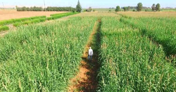 Seed sowing postpo<em></em>ned due to lack of rain